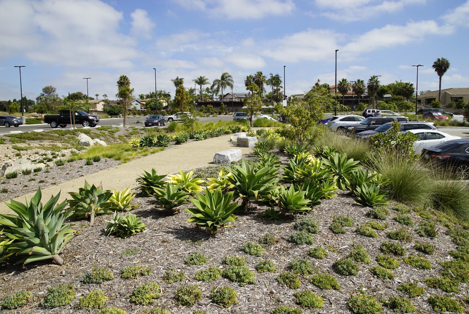 /Files/PROJECT_FILE/d485b90b-986a-4f15-aa98-2af3c02d8314/Tri City New Surface Parking Lot.jpg
